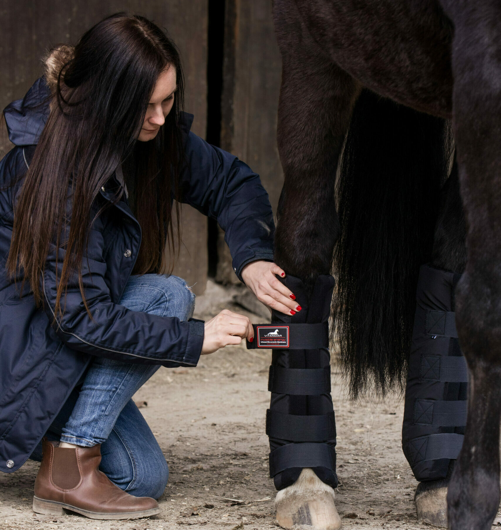 equi-well.net – Dein gesundes Pferd
