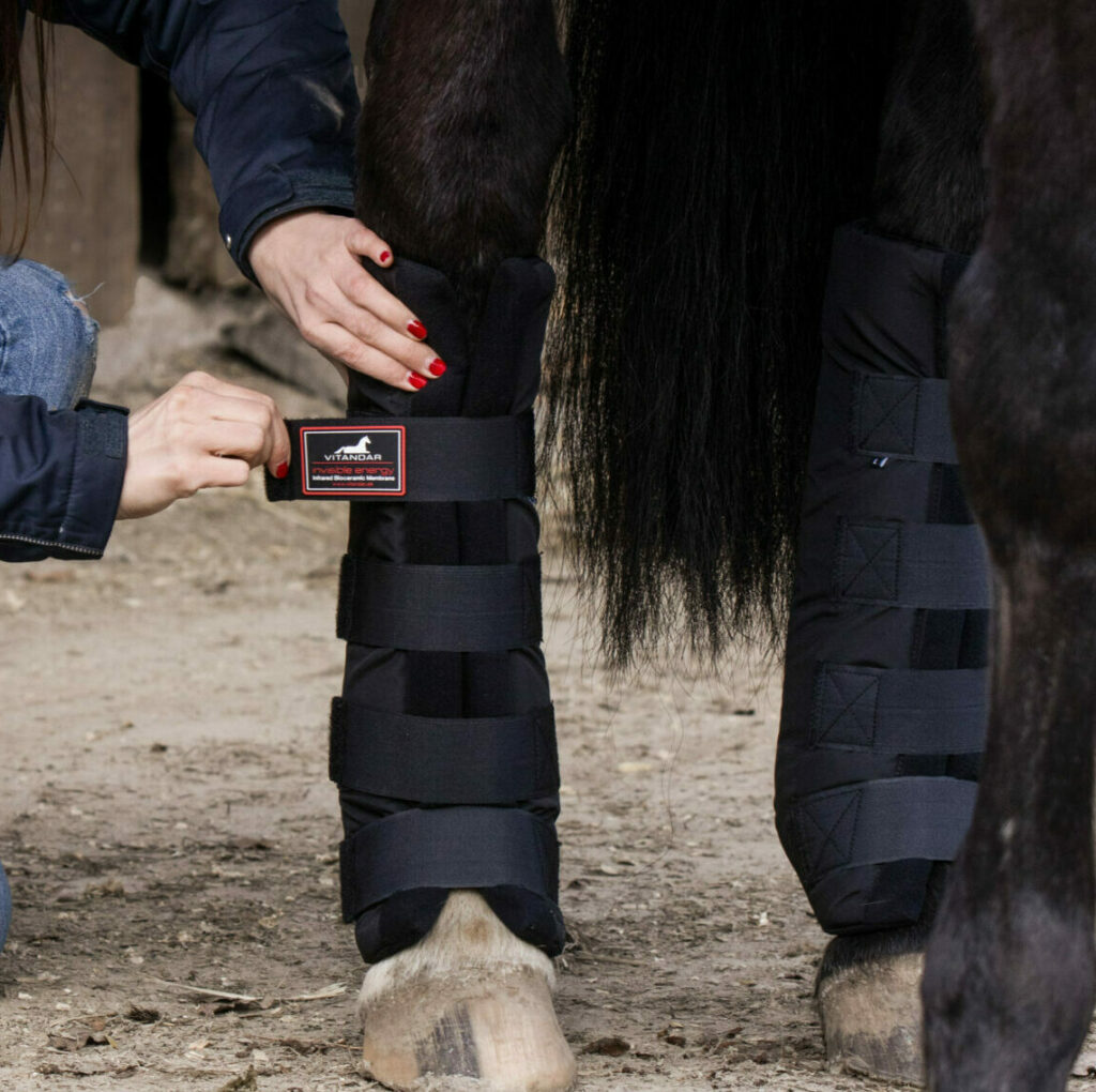 equi-well.net – Dein gesundes Pferd