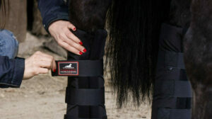 Infrarot wärme stallgamaschen gallen angelaufene beine